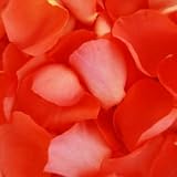 Coral Rose Petals