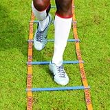 Diamond - 9m Speed Ladder