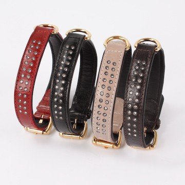 Hundehalsband Hunde Halsband Krokoleder mit Strass