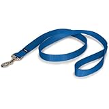 PetSafe Nylon Leash, 1" x 4', Royal Blue