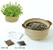 植木鉢と種がセットになった<br>なべ野菜栽培セット