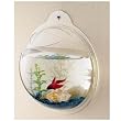 Fish Bubble