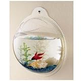 Wall Mount Hanging Beta Fish Bubble Aquarium Bowl Tank