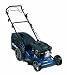 Produkt-Bild: Einhell Blue BG-PM 46 S HW Benzin Rasenm&auml;her