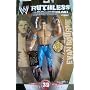 WWE Ruthless Aggression 39 Evan Bourne
