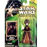 Star Wars: Power of the Jedi > Queen Amidala Royal Decoy Action Figure