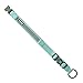 Pawtitas Lumberjack Padded Martingale Collar for Dogs | Soft Neoprene Dog Collar for Your pet's Comfort Made with Reflective Band for Maximum Visibility | Fits Small and Large Pets - Small Teal