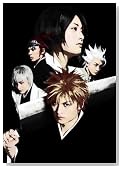 ROCK MUSICAL BLEACH(DVD�t)