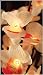 The Light Garden CHBL96 Lighted Cherry Blossoms with 96 Bulbs, 40-Inch Tall