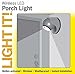 LIGHT IT! by Fulcrum 20031-103 6-LED Wireless Motion Sensor Security Porch Light, Single, Charcoal