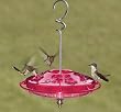 HummZinger Fancy Fuchsia Hummingbird Feeder
