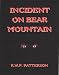 INCIDENT ON BEAR MOUNTAIN by Robert Patterson