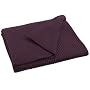 DII Super Soft Ribbed 50 by 65-Inch Fleece Throw with Fringe, Gem Purple