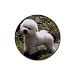 Bichon Frise Rubber Round Coaster (4 pack)