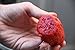 *NEW*SWEET FRUIT* RED CACTUS PEAR *5 seeds*RARE* #1035