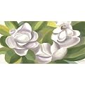 Magnolias on Green - 12 X 24"