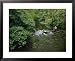 A Man is Fly-Fishing on Tennessees Bald River National Geographic Collection Framed Art Poster Print by Stephen Alvarez, 31x25