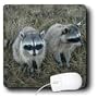 Wild animals - Two Raccoons - Mouse Pads