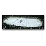 NHL San Jose Sharks Artissimo Panoramic 36x12 Canvas Art