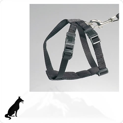 Europet Bernina Hundegeschirr Sicherheitsgurt XL 80 – 110cm