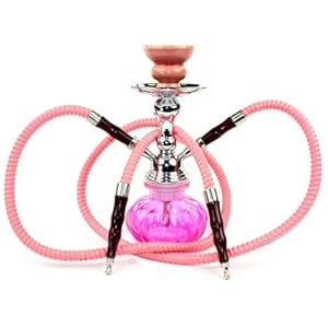 2 Hoses Pumkin Hookah - Color Varies
