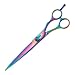 Pet Supplies : 8 INCH STRAIGHT - Professional 5200 Series Rainbow Shears
