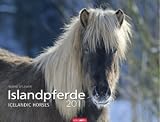 Islandpferde 2011 / Icelandic Horses 2011 / Íslenkir Hestar 2011