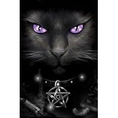 1art1 54280 Gothic - Spiral, Magical Cat Poster 91 x 61 cm