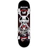Birdhouse Hawk Cross Bones Complete Skateboard 2010