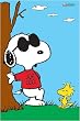 Peanuts - Joe Cool Poster