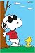 Peanuts - TV Show Poster - Joe Cool And Woodstock (Size: 24