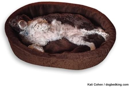 Made In USA Dog Bed King Cuddler Nest Bed. Large Brown Sherpa. Outside Dim. 33x23x7". Inside Dim. 30x20x7". Removable Washable Cover.