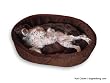 XL-Extra Large Brown Fur Dog Bed King Pet Bed-Ortho Comfort Foam. Outside Dim. 42x32x7". Inside Dim. 38x28x7". We make them in the America. Washable Cover. Bed is dark brown. Photo appears lighter.