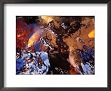 Fish in a Pool of Water, Manado, North Sulawesi, Indonesia Framed Art Poster Print by Greg Elms, 22x18 41%2BTmipe3DL. SL160 Fish in a Pool of Water, Manado, North Sulawesi, Indonesia Framed Art Poster Print by Greg Elms, 22x18