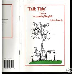 "Talk Tidy": The Art of Speaking Wenglish