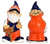 Caseys Distributing 8132998489 Denver Broncos Garden Gnome Coin Bank