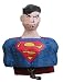 Search : Superman Bust Pull Pinata