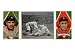 Detroit, MI, Detroit Tigers, Chas. O'Leary, Tyrus Cobb, Baseball Card Giclee Poster Print, 12x16