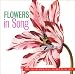 The Metropolitan Museum of Art: Flowers in Song
