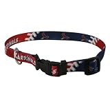 St. Louis Cardinals Pet Dog Collar (Large)