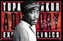 New Tupac Advisory Poster - Rare 2pac 24x36 Print