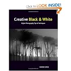 Click here to buy Creative Black and White: Digital Photography Tips and Techniques by Harold Davis.