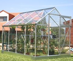 SilverLine 6x8 Greenhouse