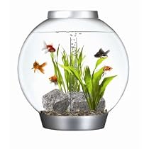 biOrb Mega with Halogen Light, Silver, 16 Gallons