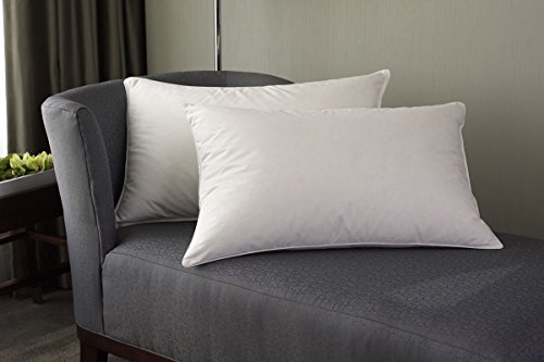 Westin Hotel Feather & Down Pillow - Queen