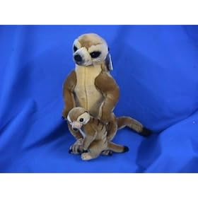 Meerkat and Pup