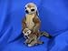 Meerkat and Pup