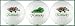 Kentucky Variety Golf Balls