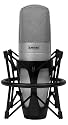 Shure KSM32 Embossed Single-Diaphragm Microphone, Champagne
