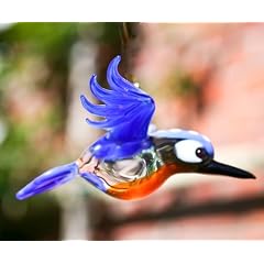 Eisvogel